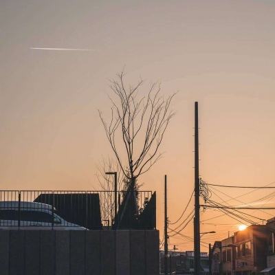 凤凰彩票app下载官网下载安卓